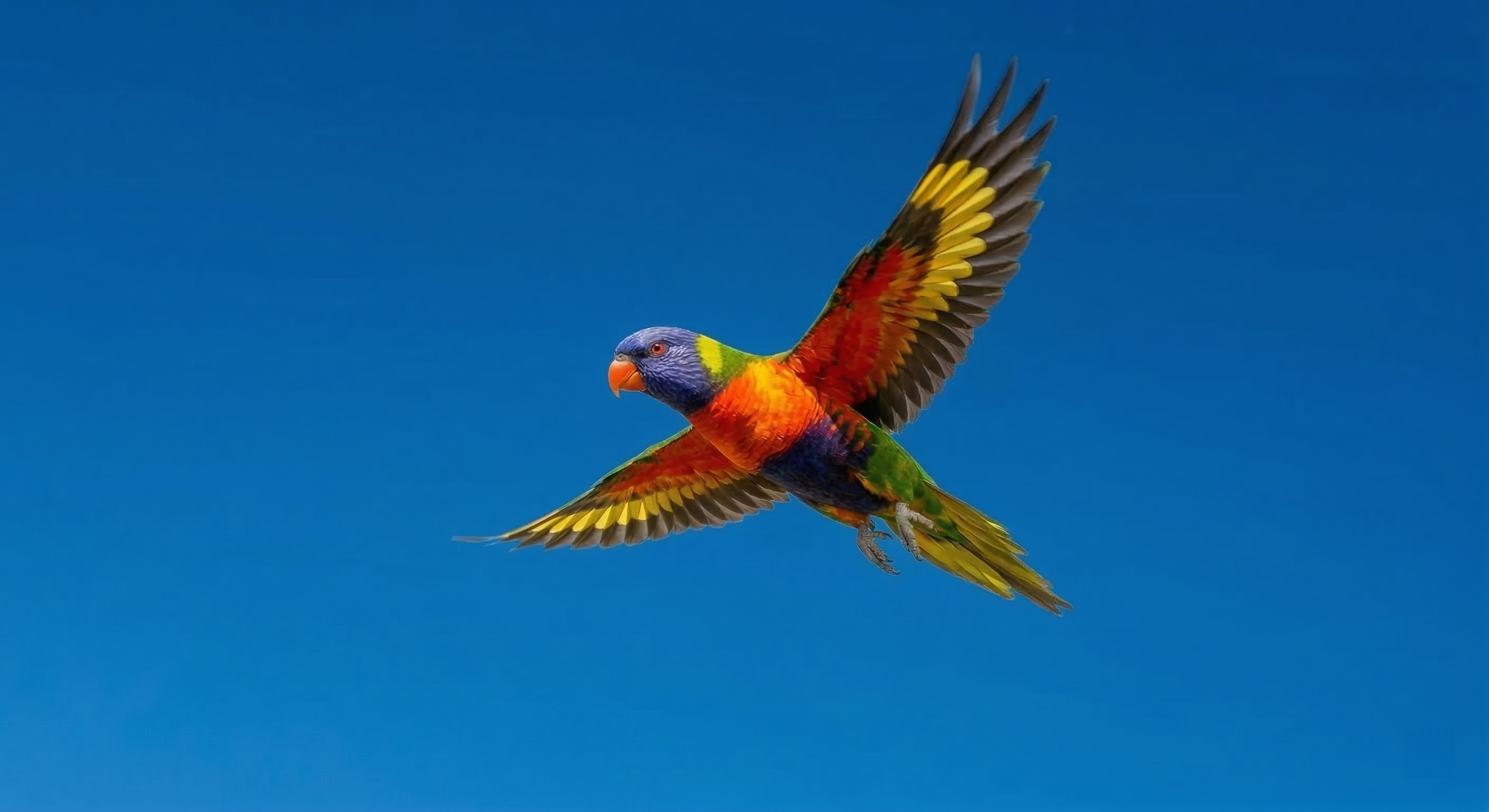 Gemini Watermark Removed by Quick Image Fix